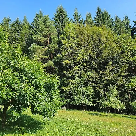 Red Riding Hood Ljubljana