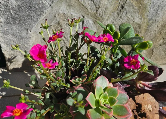 Venkovský dům Red Riding Hood