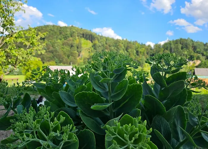 Red Riding Hood Venkovský dům Lublaň