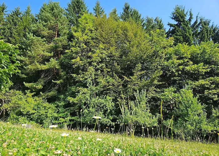 Red Riding Hood Ljubljana