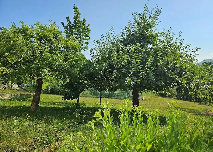 Red Riding Hood Podeželska hiša *