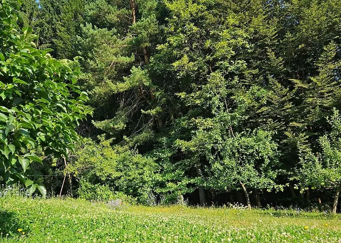 Red Riding Hood Podeželska hiša