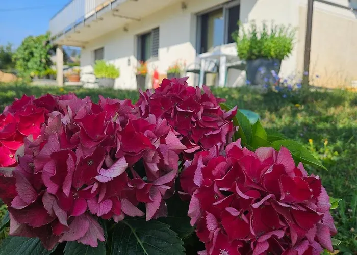 Venkovský dům Red Riding Hood