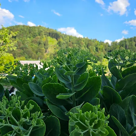 Venkovský dům Red Riding Hood Lublaň