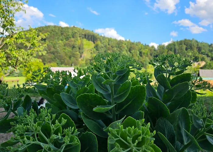 Venkovský dům Red Riding Hood Lublaň