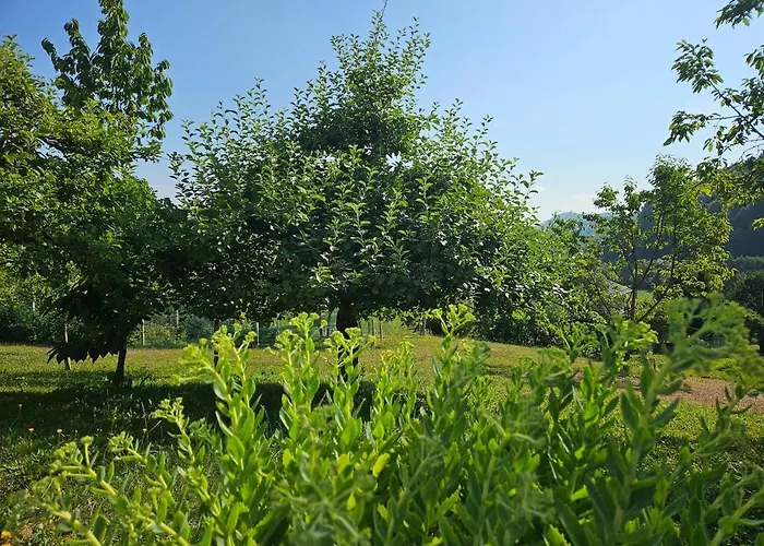 Red Riding Hood Venkovský dům Lublaň