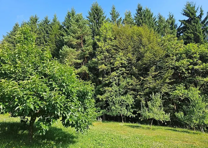 Red Riding Hood Lublaň